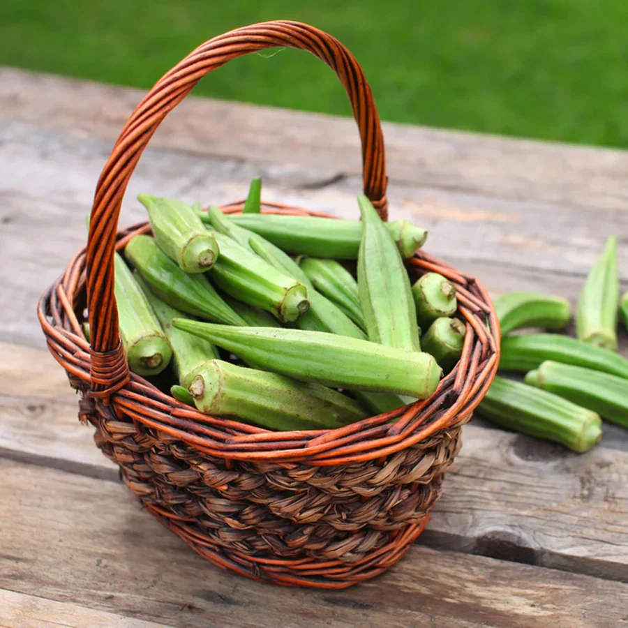 Fresh Okra