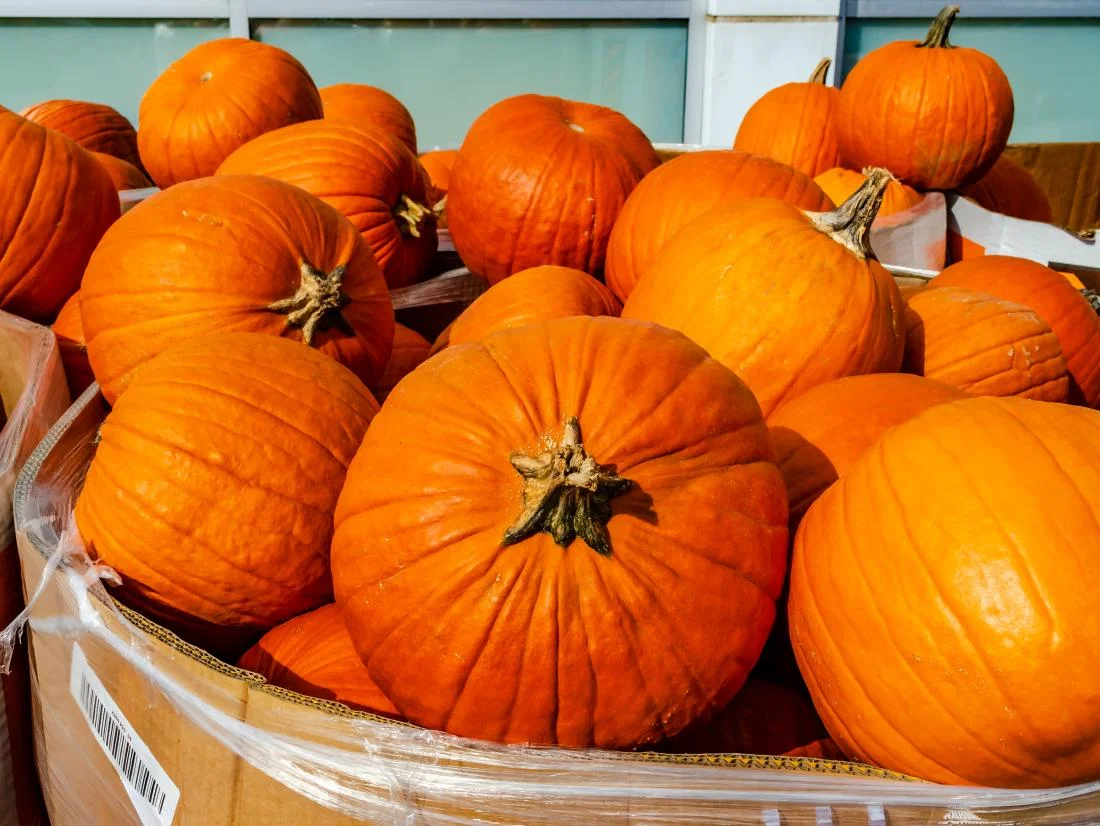 Pumpkins